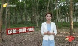 海南新闻爆料主播是谁啊,揭秘神秘主播身份