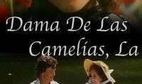 茶花女在线观看,在线观看，重温爱情悲剧之美